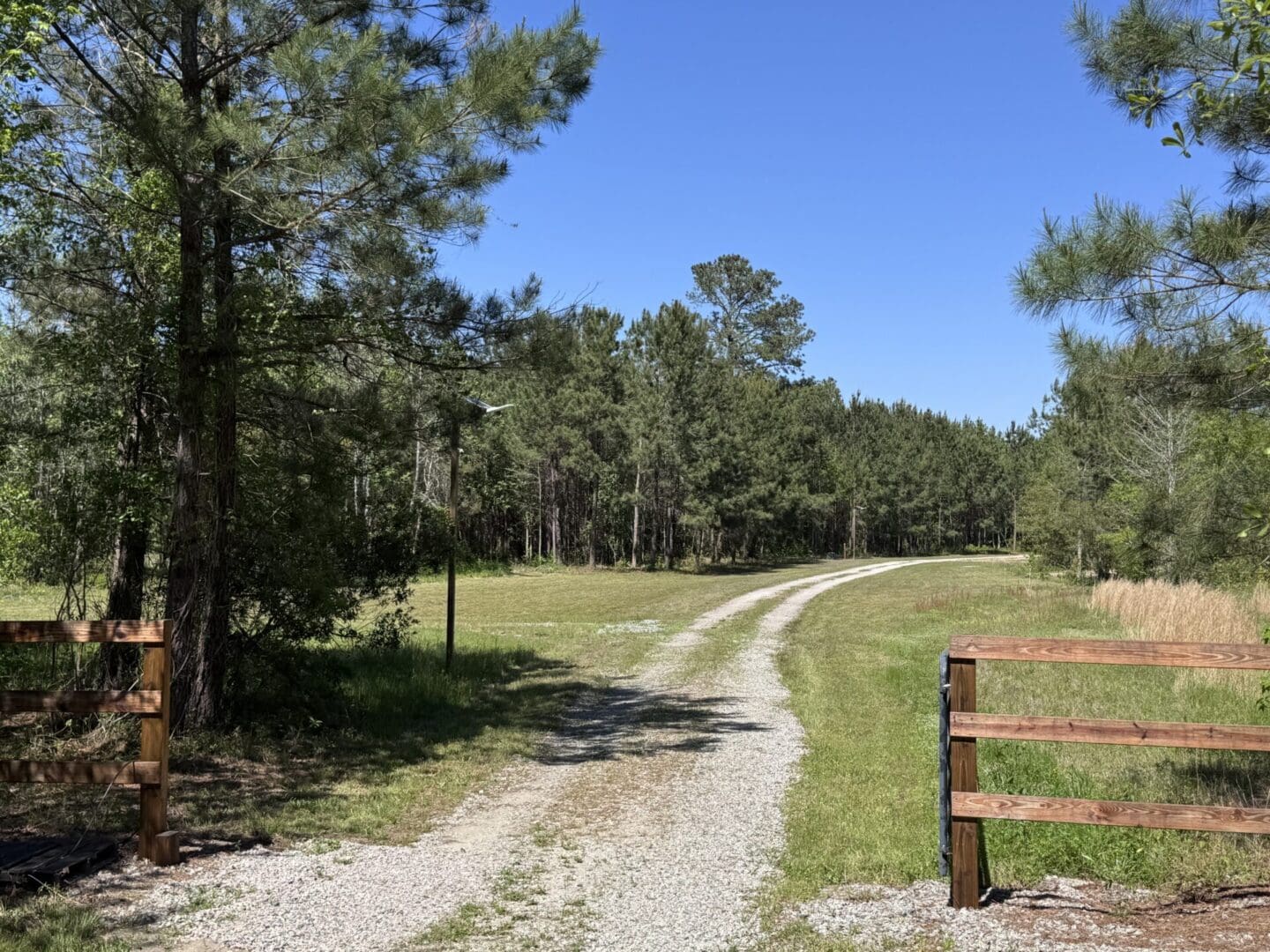 Gravel path through forested countryside landscape.